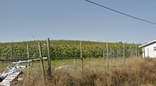 'Not a big fan': Lake Country council denies application to house 79 temporary workers