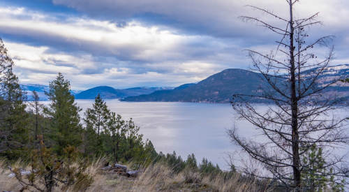Low flood hazard and drier spring expected for the Okanagan
